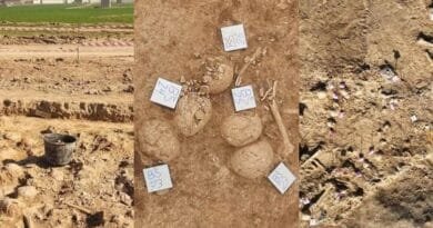 Li Hewlêrê 103 qoqên seriyan hatin dîtin