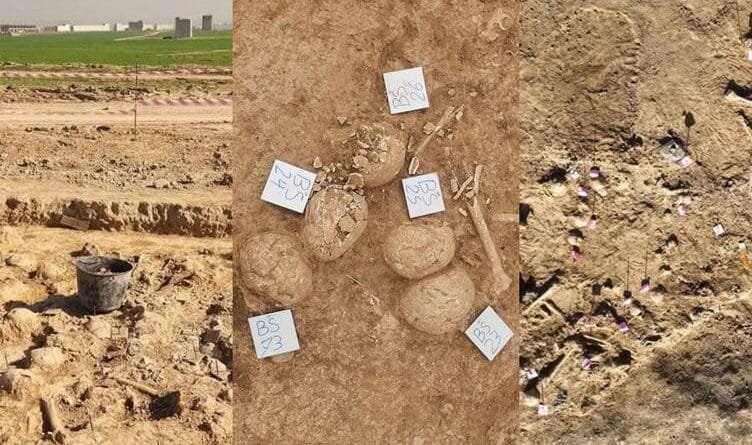 Li Hewlêrê 103 qoqên seriyan hatin dîtin