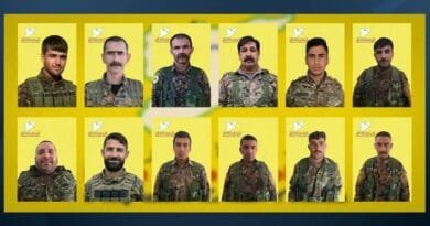 Nasnameyên 12 şervanan hatin eşkerekirin