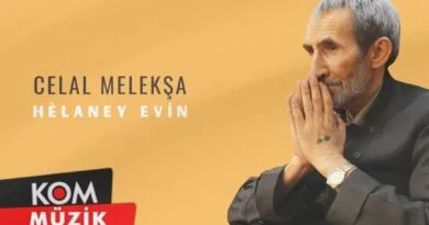 Celal Melekşa - Hêlaney Evîn (Official Audio)