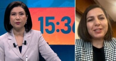 Semra Çaglar: Di envanterên Tirkiyeyê de 300-400...