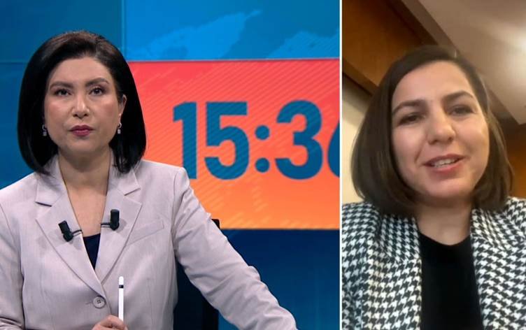 Semra Çaglar: Di envanterên Tirkiyeyê de 300-400…