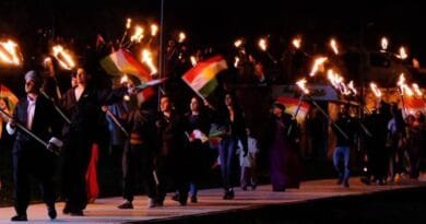 Bi alayên Kurdistanê û meşaleyan li Farqînê...