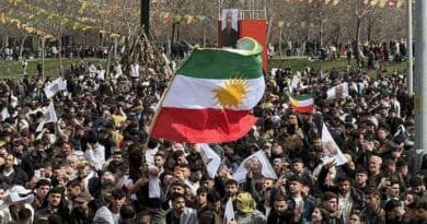 Li Amedê Cejna Newrozê bi coş tê pîrozkirin