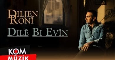 Diljen Ronî - Dilê Bi Evîn (2025) [Official Audio © KOM Müzik]