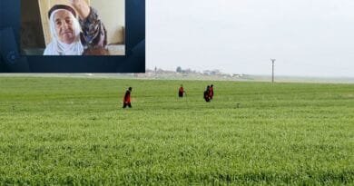 QOSER - Termê Cemîleya 80 salî hat dîtin