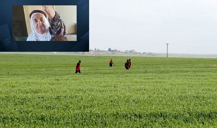 QOSER - Termê Cemîleya 80 salî hat dîtin