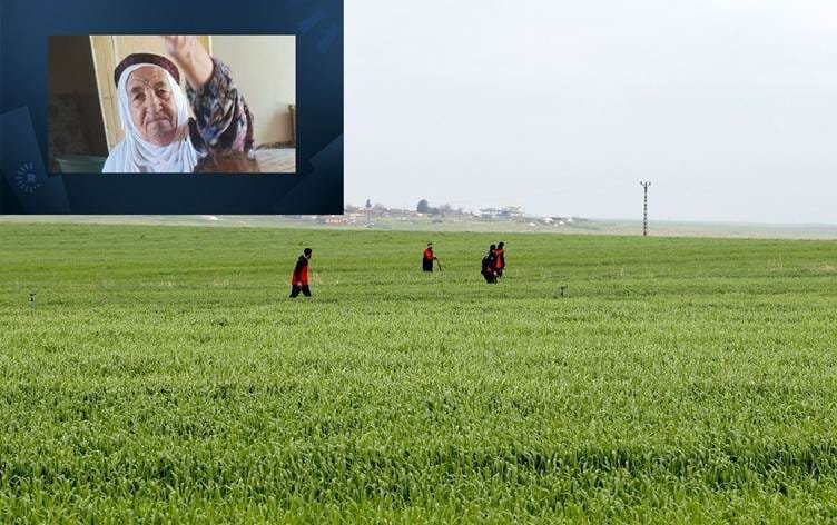 QOSER - Termê Cemîleya 80 salî hat dîtin