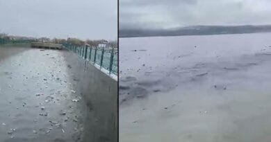 Xemsarî bû sedema karesatê: Gola Wanê bûye...