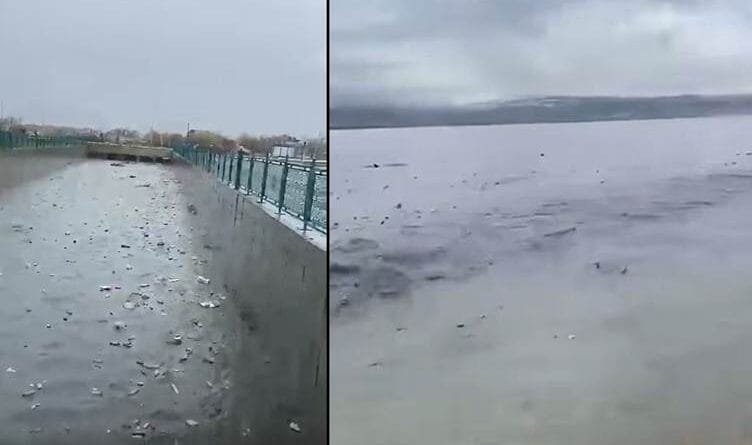 Xemsarî bû sedema karesatê: Gola Wanê bûye...