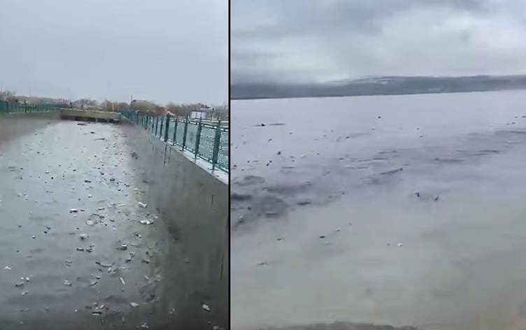 Xemsarî bû sedema karesatê: Gola Wanê bûye...