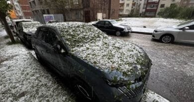 Li Xarpêtê teyrokê zerer da daran