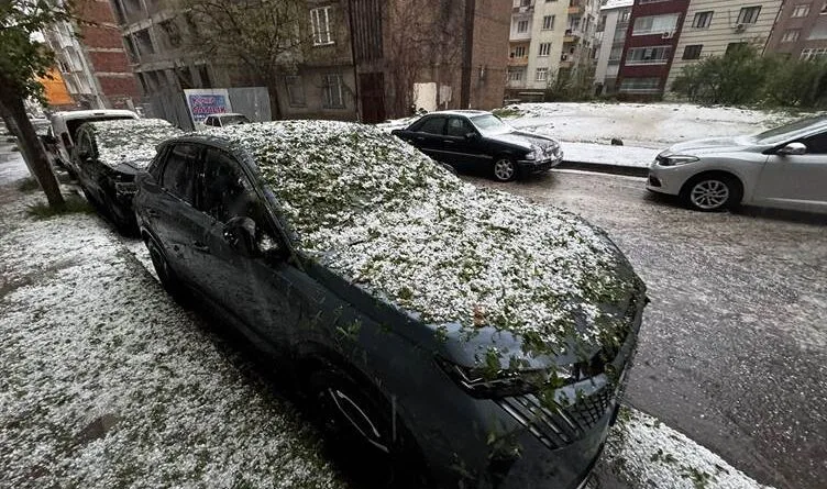 Li Xarpêtê teyrokê zerer da daran