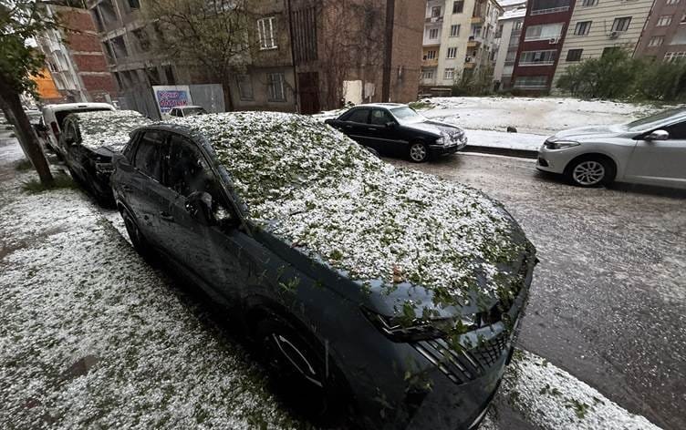 Li Xarpêtê teyrokê zerer da daran