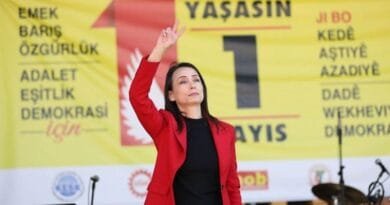 Tulay Hatîmogullari: Di pêvajoyê de hinek xitimîn...