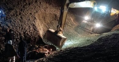Ji ber êrişa mêşên hingiv 816 mih mirar bûn