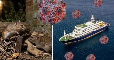 Mirov çawa dikarin xwe ji 'Hantavîrusê' biparêzin?