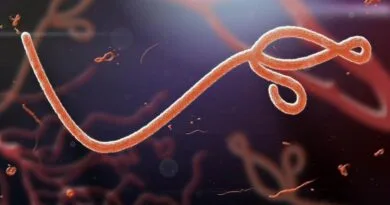 WHOyê ji ber Ebolayê rewşa awarte ragihand
