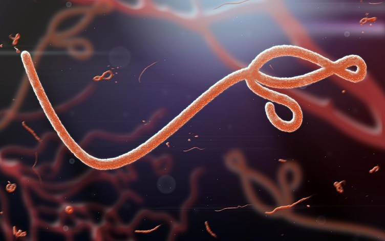 WHOyê ji ber Ebolayê rewşa awarte ragihand