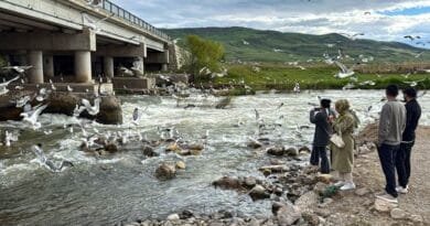 Koça masiyan a ji Gola Wanê dest pê kir