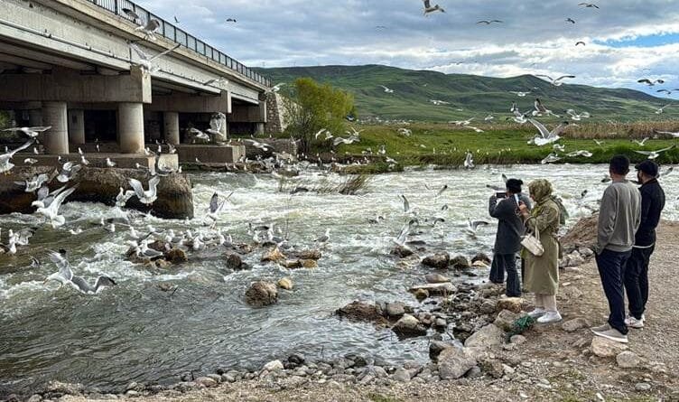 Koça masiyan a ji Gola Wanê dest pê kir