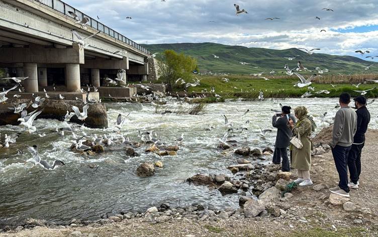 Koça masiyan a ji Gola Wanê dest pê kir