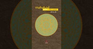 Mahabad - Dilo 🎶  #kommüzik #kürtçemüzik  #music