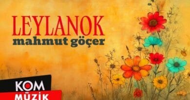 Mahmut Göçer - Leylanok (Official Audio)