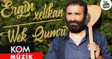 Ergîn Xelikan - Wek Qumrî (Official Audio © Kom Müzik)