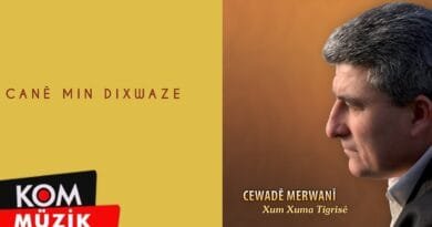 Cewadê Merwanî - Canê Min Dixwaze (Official Audio © Kom Müzik)