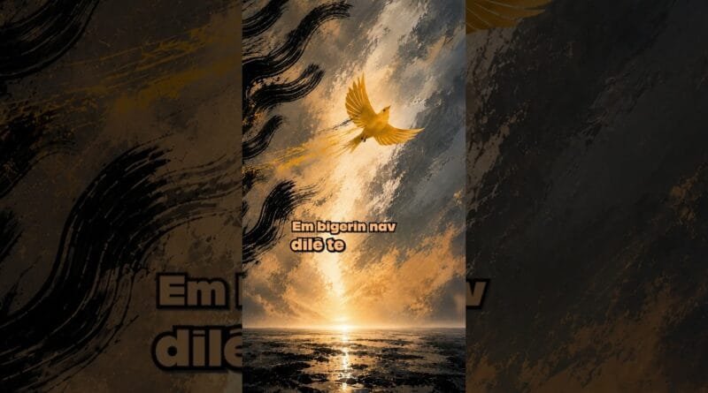Barody & Hêlîn Demîrtepe - Heval