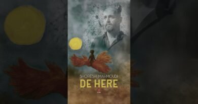 Shoresh Mahmoudi - De Here